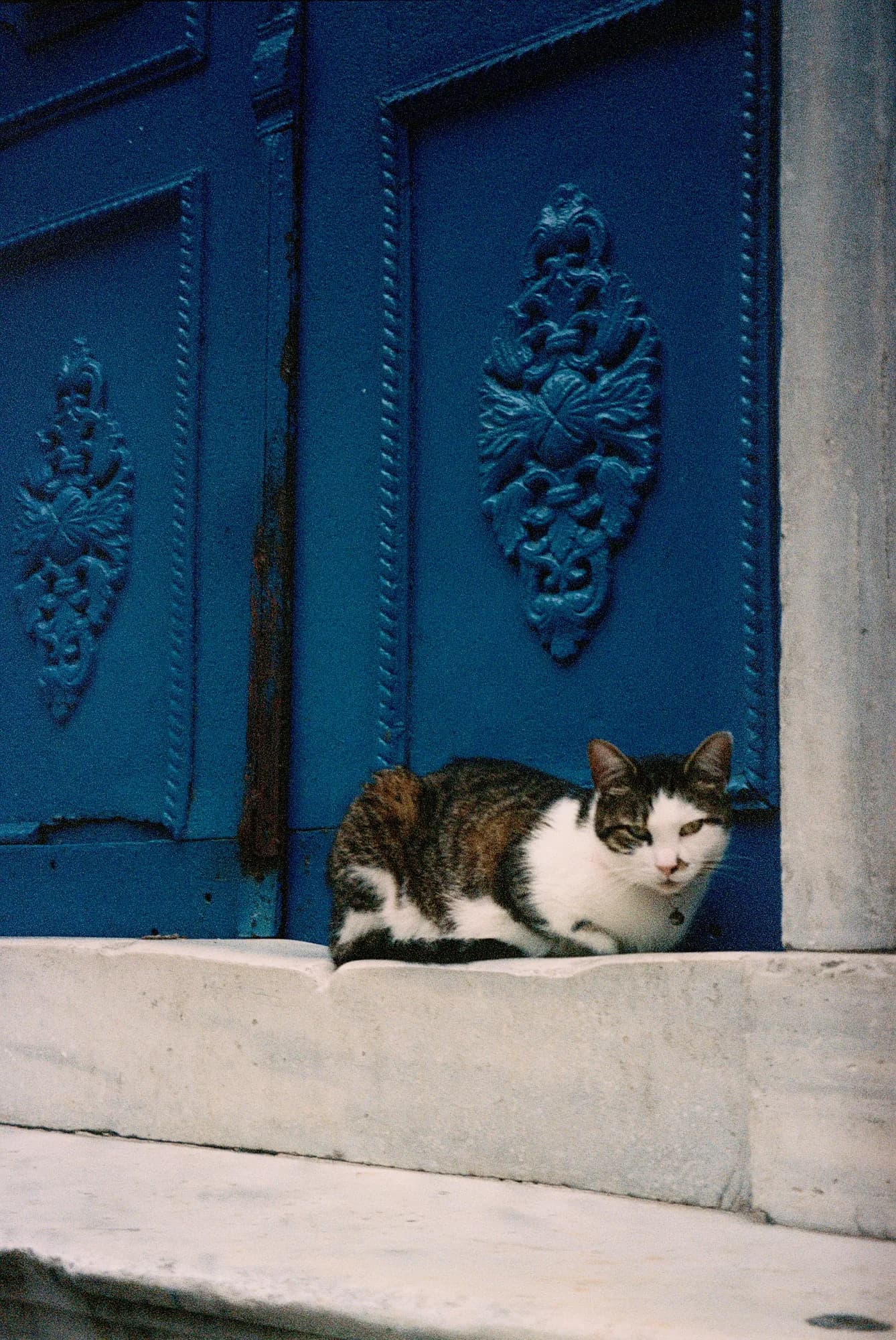 Blue door, Istanbul